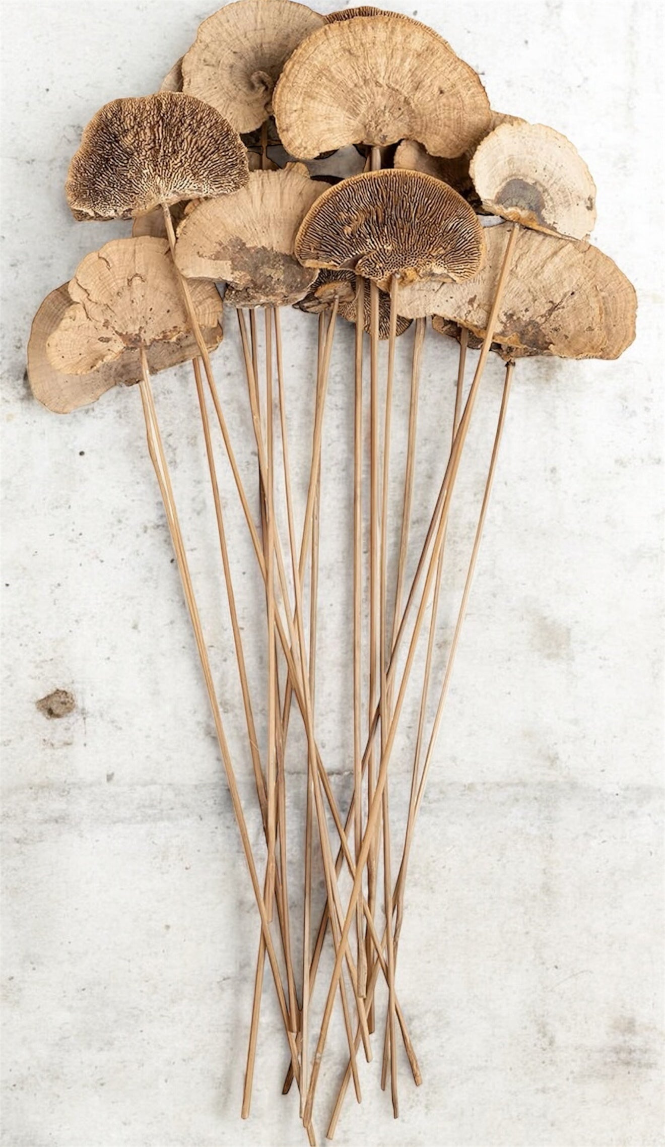 Nook and Places Sponge Mushroom On Stem (10 Sticks)