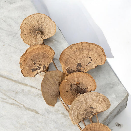 Nook and Places Sponge Mushroom On Stem (10 Sticks)