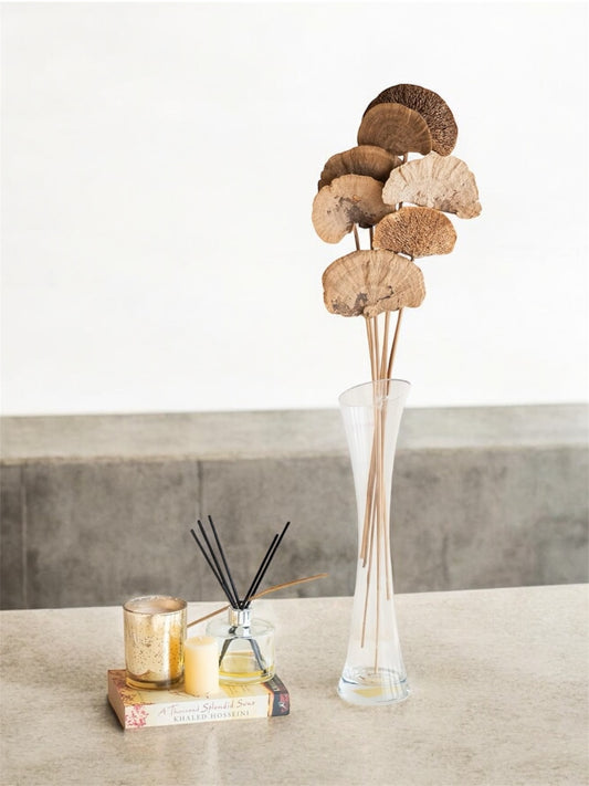 Nook and Places Sponge Mushroom On Stem (10 Sticks)
