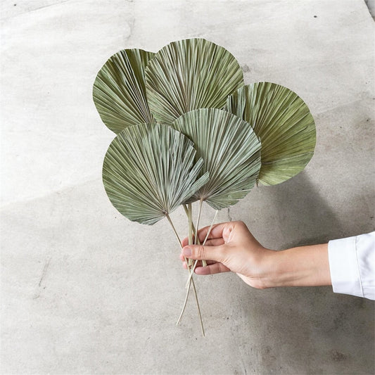 Nook and Places Round Green Palm Leaves (Set of 5)