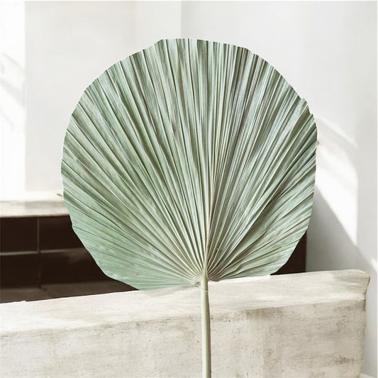 Nook and Places Round Green Palm Leaves (Set of 5)