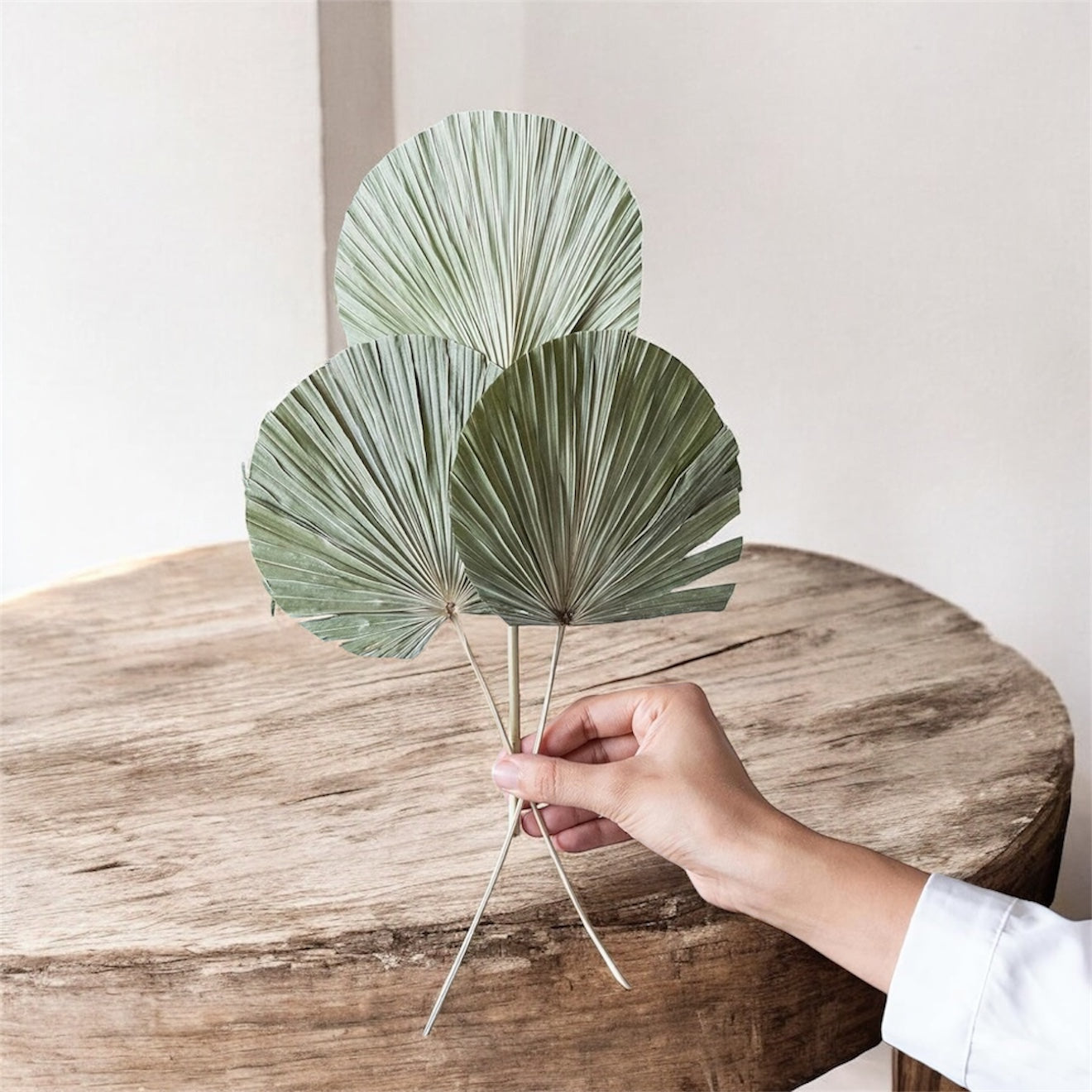 Nook and Places Round Green Palm Leaves (Set of 5)
