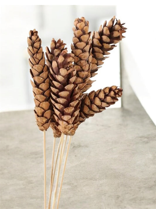 Nook and Places Pine Sticks 5 Sticks