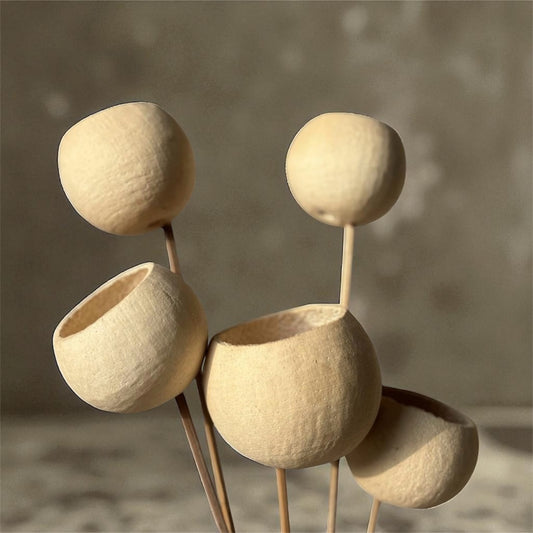 Nook and Places Living Bell Cup Dried Pods | Set of 5 Sticks