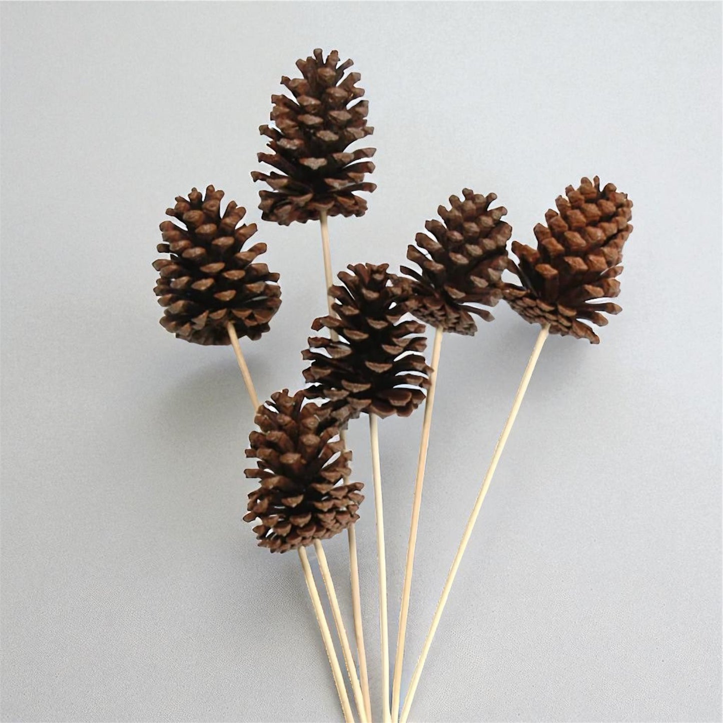 Flowers and Fillers 10 pcs Dried Pine Cone on Stems