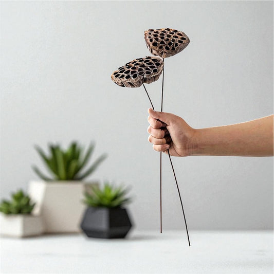 Nook and Places Dried Lotus Pods Set of 3