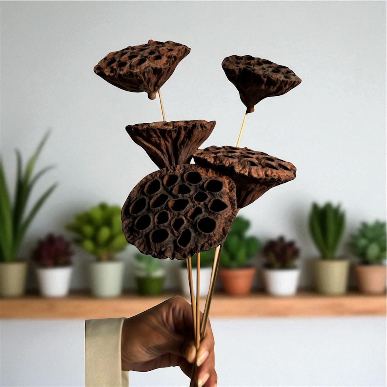 Nook and Places Dried Lotus Pods Set of 3