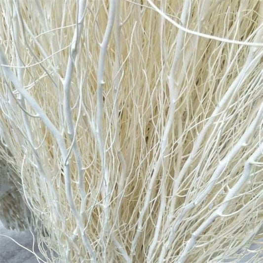 Nook and Places Long Real Dried White Curly