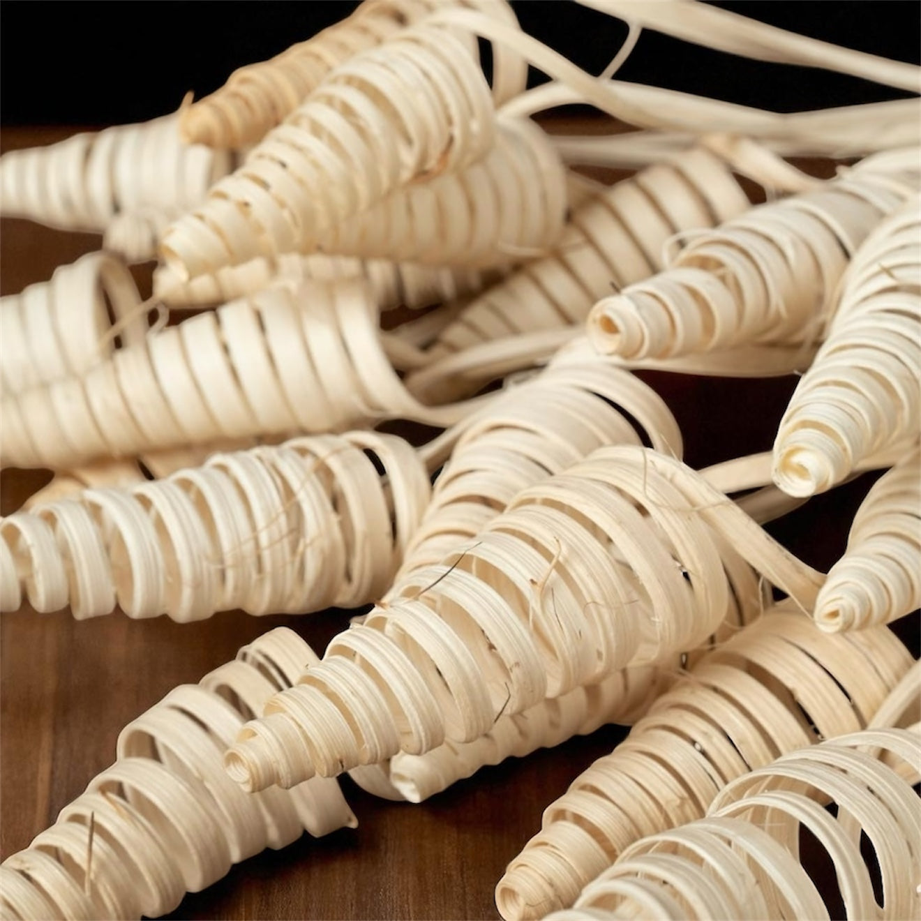 Nook and Places Dried Cane Cone Pods | Set of 20 Sticks