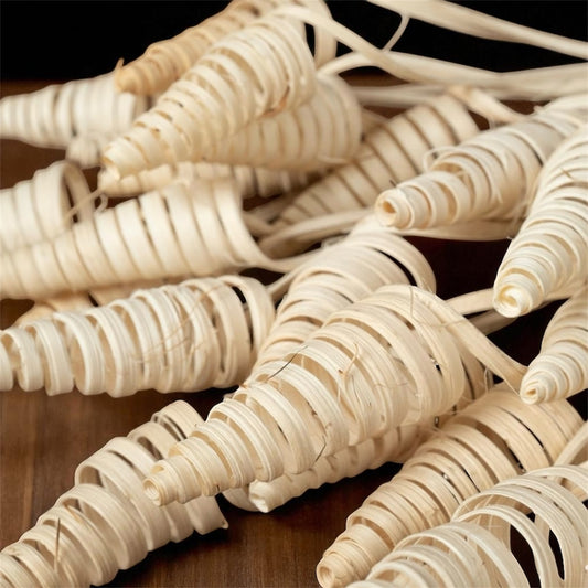 Nook and Places Dried Cane Cone Pods | Set of 20 Sticks