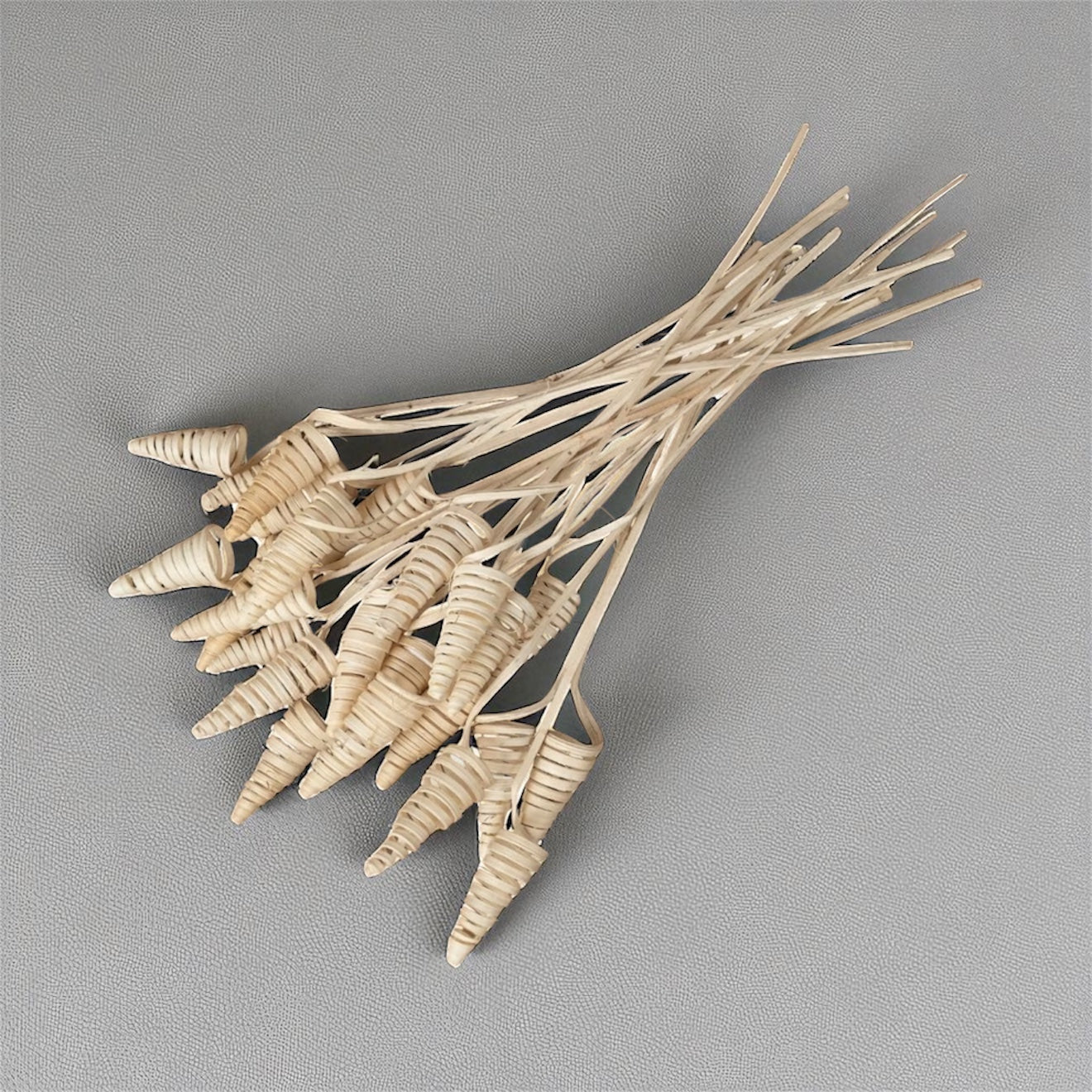 Nook and Places Dried Cane Cone Pods | Set of 20 Sticks