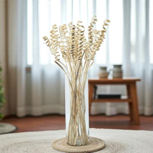 Nook and Places Living Dried Cane Spring | Set of 20 Sticks