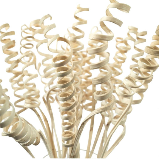 Nook and Places Living Dried Cane Spring | Set of 20 Sticks