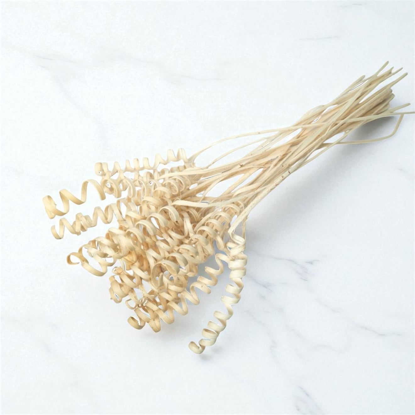 Nook and Places Living Dried Cane Spring | Set of 20 Sticks