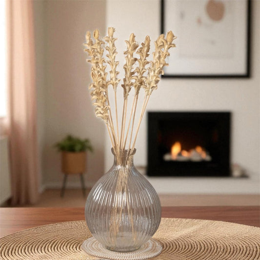 Nook and Places Living Dried Ginger Stems | Set of 10 Sticks (White)
