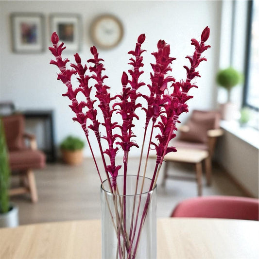 Nook and Places Living Dried Ginger Stems | Set of 10 Sticks (Pink)