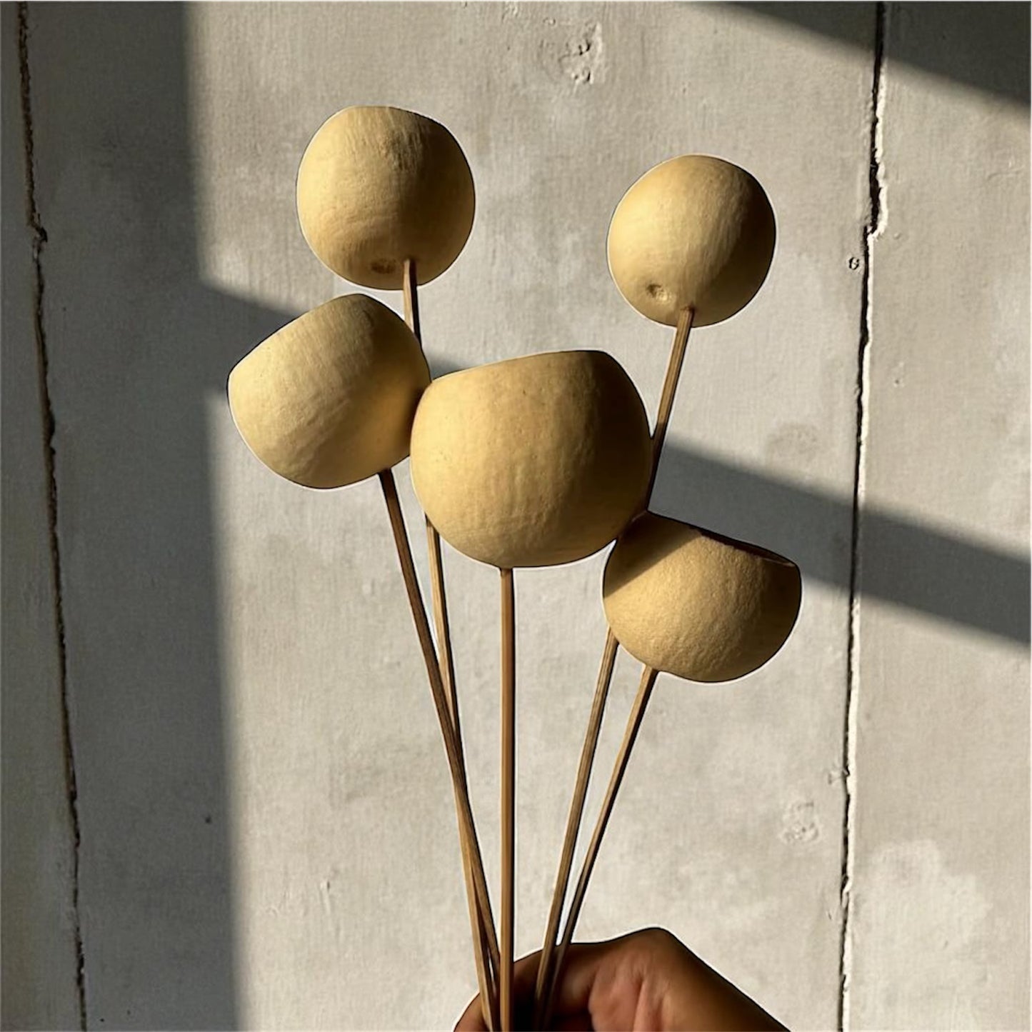 Nook and Places Living Bell Cup Dried Pods | Set of 5 Sticks