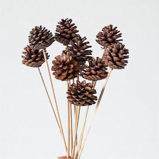 Flowers and Fillers 10 pcs Dried Pine Cone on Stems